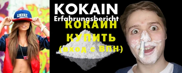 гидропоника Гусь-Хрустальный
