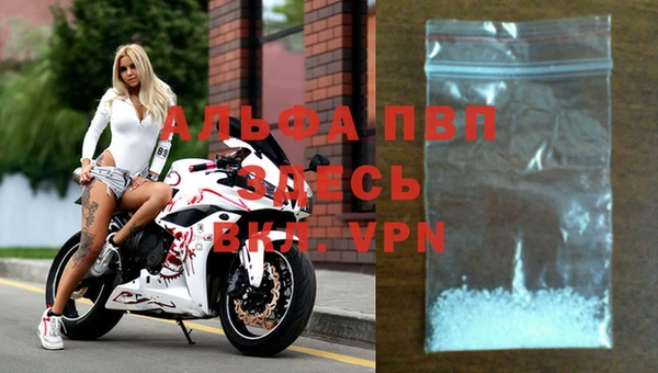 винт Дмитриев