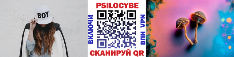 Купить закладки Лесосибирск Псилоцибиновые грибы Psilocybe
