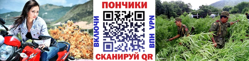 Купить  Лесосибирск  Марихуана индика 